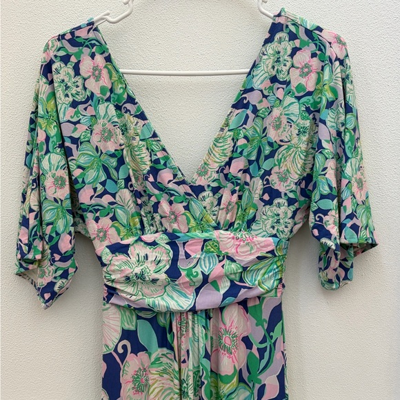 Lilly Pulitzer Parigi Maxi Dress - Picture 4 of 13